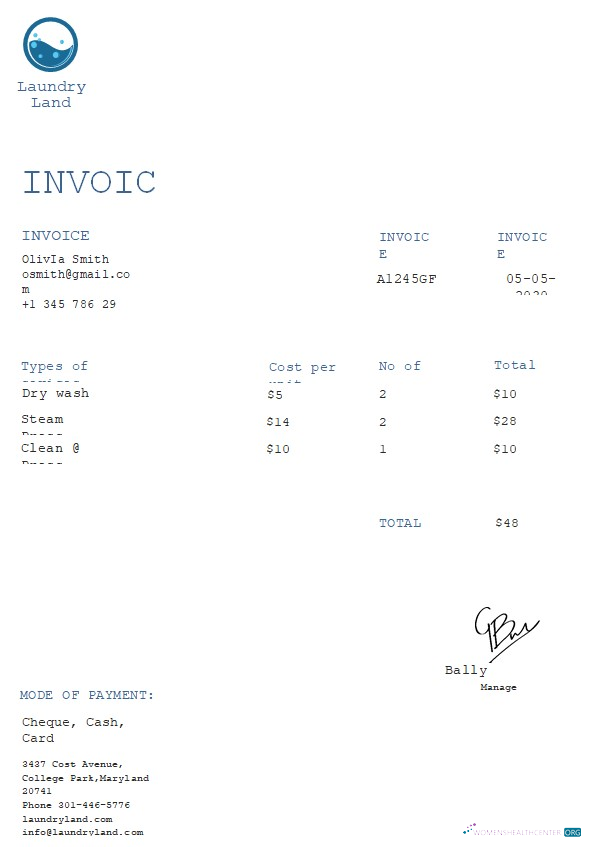 Download Free Laundry Invoice Template Photoshop template